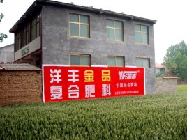 东山如何让墙体广告展现最大化效果