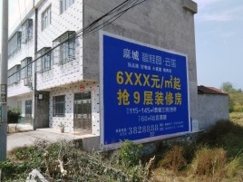 东山墙体广告质量分析