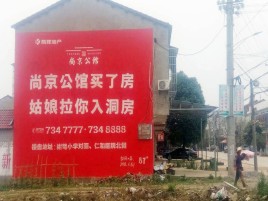 东山墙体广告在乡镇、农村市场的媒体优势