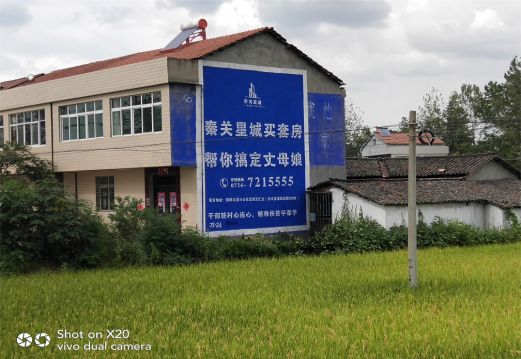 东山决定墙体广告价格的因素有哪些？