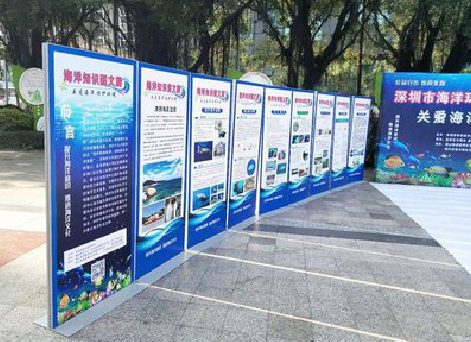 东山KT板的种类和知识。